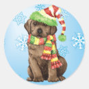 Recherche de labrador chocolat autocollants Noël
