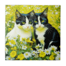 Recherche de assis carreaux Chats