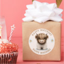 Search for scottish highland cattle stickers Heilan coo