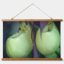 Recherche de orchidées blanches art Femme slipper