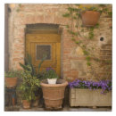 Search for siena tiles Tuscany