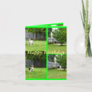 Search for terrier photo cards Dog