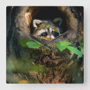Search for outdoor clocks Woodland