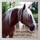 Recherche de mane posters Horse