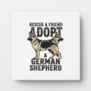 Recherche de chien berger allemand plaques Loup