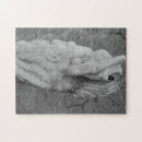 Recherche de dragon noir puzzles Toute personne