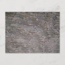 Recherche de oignon cartes postales Cuisine