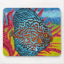 Recherche de poissons tropicaux tapis souris Vie marine