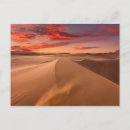 Search for desert sunset postcards Nature