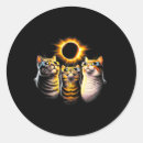 Search for awesome cat stickers Galaxy