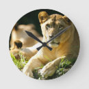 Recherche de lions africains horloges Sauvage