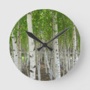 Search for tree trunk clocks Birch