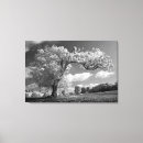 Recherche de soufflement dans le vent art Noir et blanc