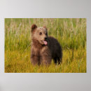Search for love bear art Bears