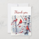 Search for red cardinal bird cards Nature