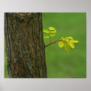 Search for purity art Freshness