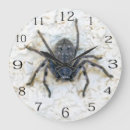 Recherche de araignée horloges Déplaisant