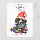 Recherche de bouvier cartes postales Pour tous
