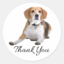 Search for dog adoption stickers Canine