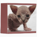 Search for kittens binders Cat