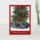 Search for newfie christmas cards Dogs