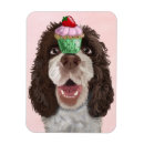 Search for springer spaniel Animals