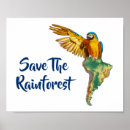 Search for rainforest posters Nature