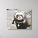Search for ferret posters Polecat