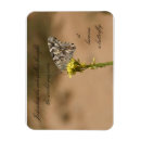 Recherche de pensée magnets Pour tous