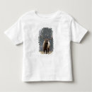 Search for rolf nussbaumer tshirts Male