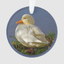 Search for white duck ornaments Wildlife