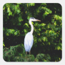 Search for white birds stickers Nature