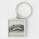 Recherche de lievre porteclés Sauvage