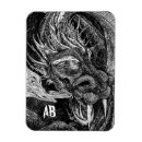 Search for legend magnets Dragon
