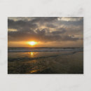 Search for florida vacation postcards Palm