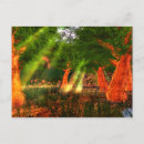 Recherche de poésie cartes postales Arbres