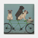 Search for pug magnets Steampunk