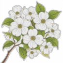 Recherche de cornouiller blanc Vert