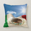 Recherche de amérique latine coussins Drapeau