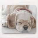 Search for lying down mousepads Usa