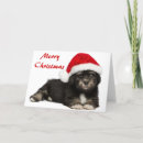 Search for havanese christmas cards Attractive