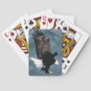 Recherche de aigle américain jeux de cartes Oiseau