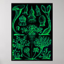 Recherche de ernst haeckel posters Rétro