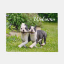 Search for boston terrier doormats Puppy