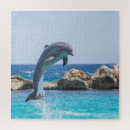 Recherche de dauphin puzzles Animal