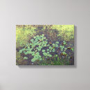 Search for pad canvas prints Water