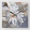 Search for peace flower photography White