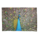 Search for feather pillowcases Turquoise