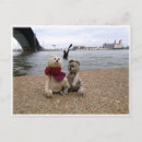 Search for riverfront postcards Saint