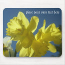 Search for daffodil mousepads Florals